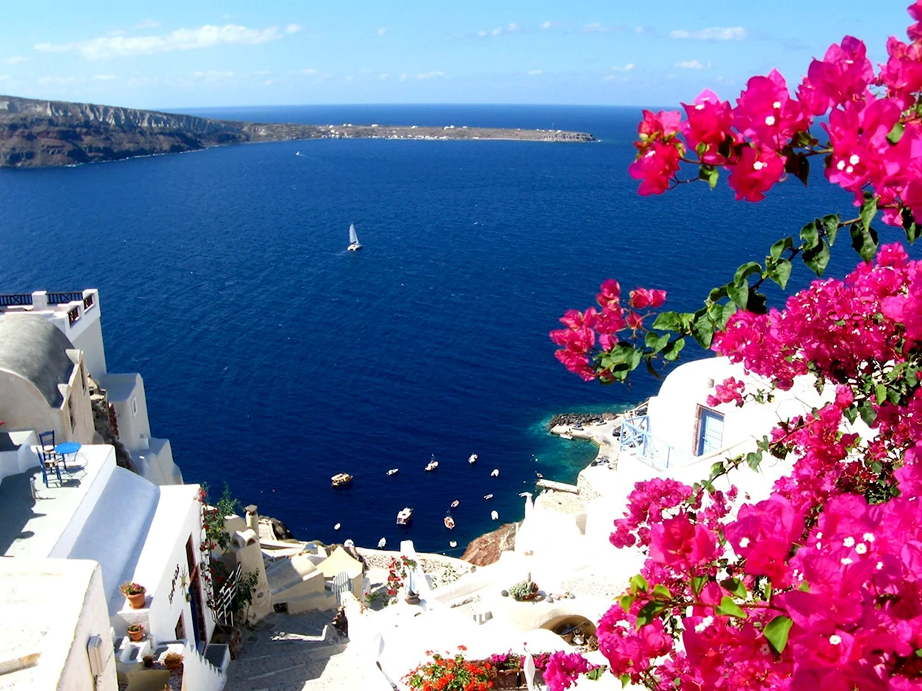 Санторини цветы Греция. Картинка