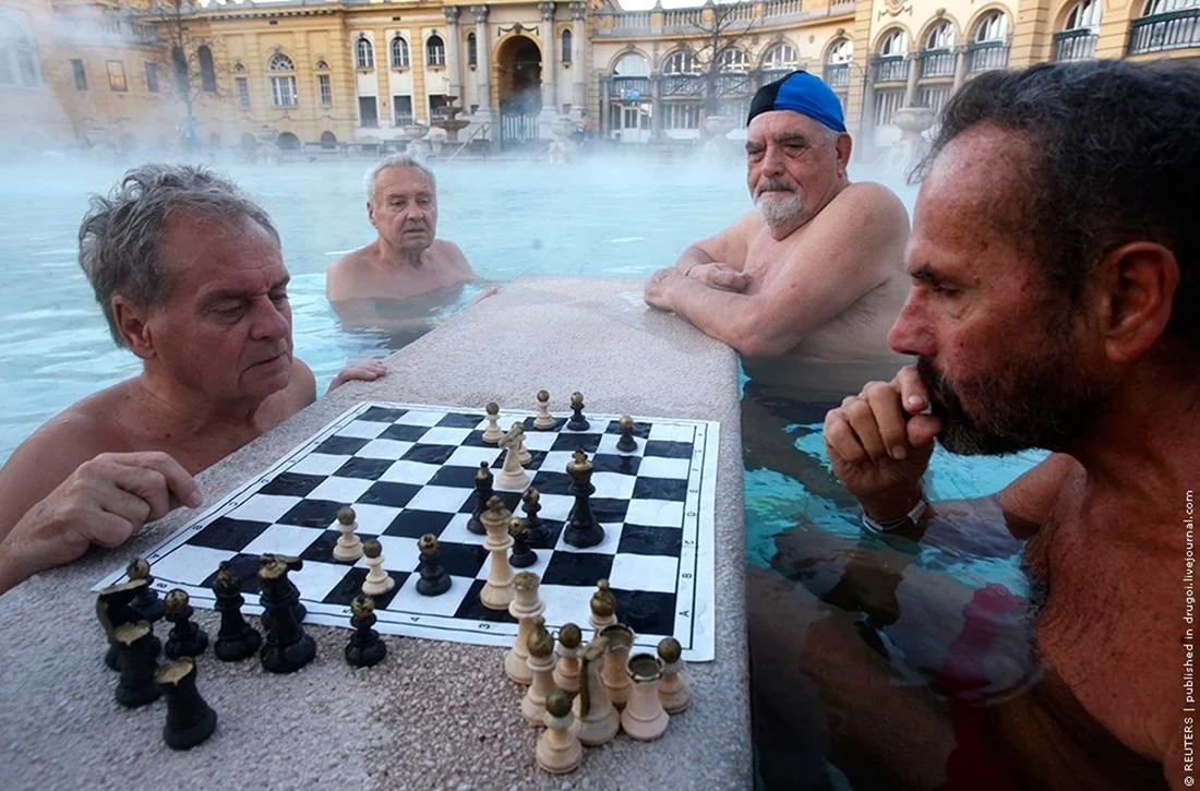 Сечени Будапешт шахматы. Прикольная картинка