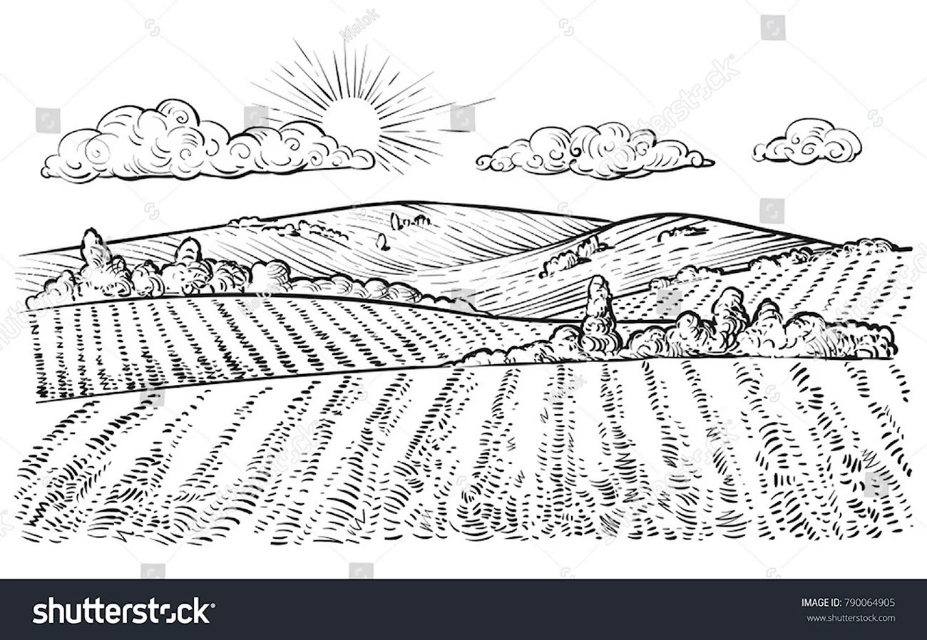 Сельскохозяйственный ландшафт нарисованный. Для срисовки