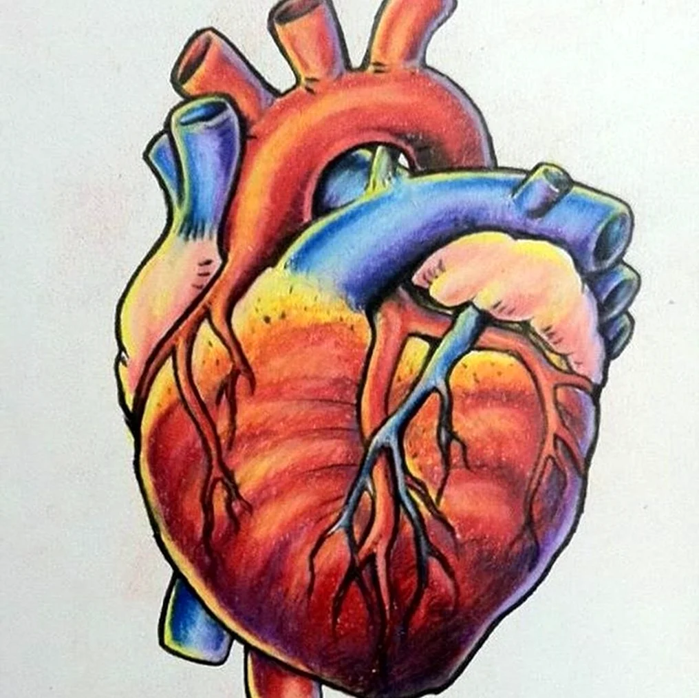 Сердце рисунок. Для срисовки