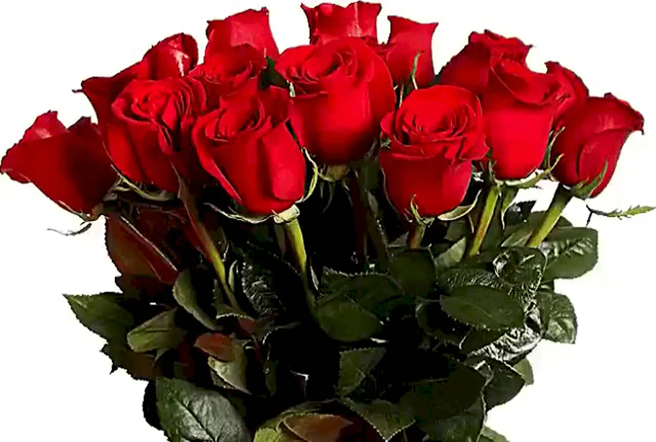 Шикарные розы для тебя. Красивая картинка