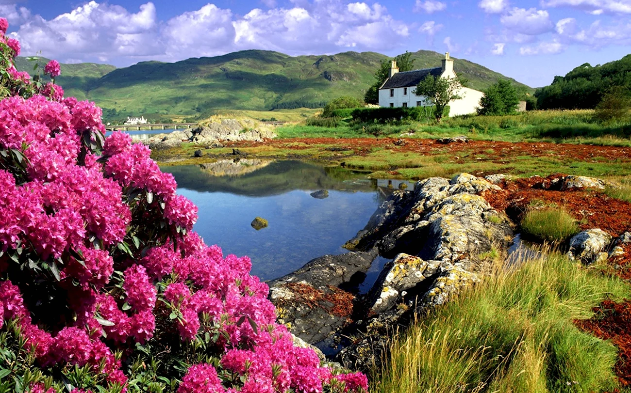 Шотландия ландшафт. Красивая картинка