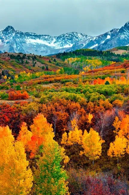 Штат Колорадо леса. Красивая картинка