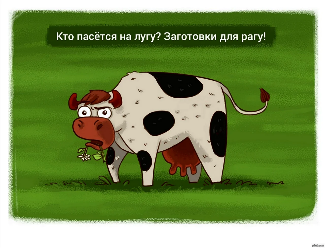 Шутки про коров. Картинка
