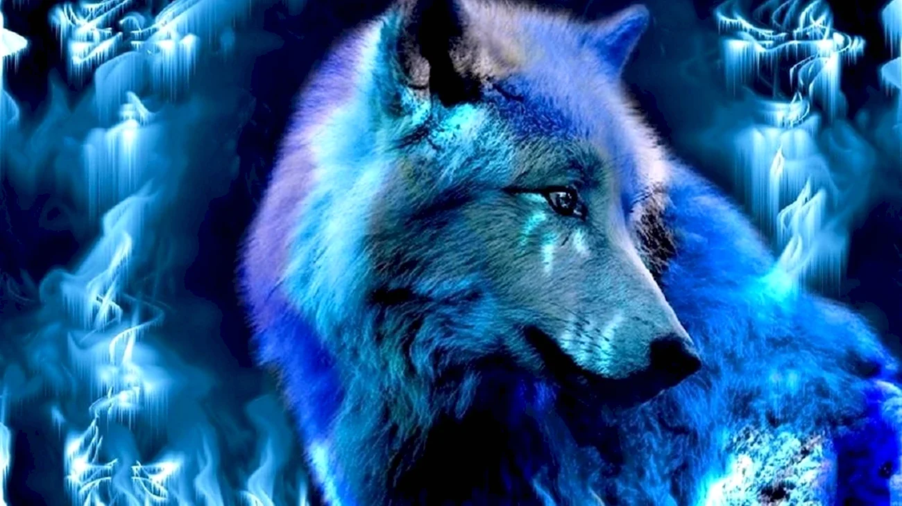 Синяя волчица Тэнгри. Красивая картинка