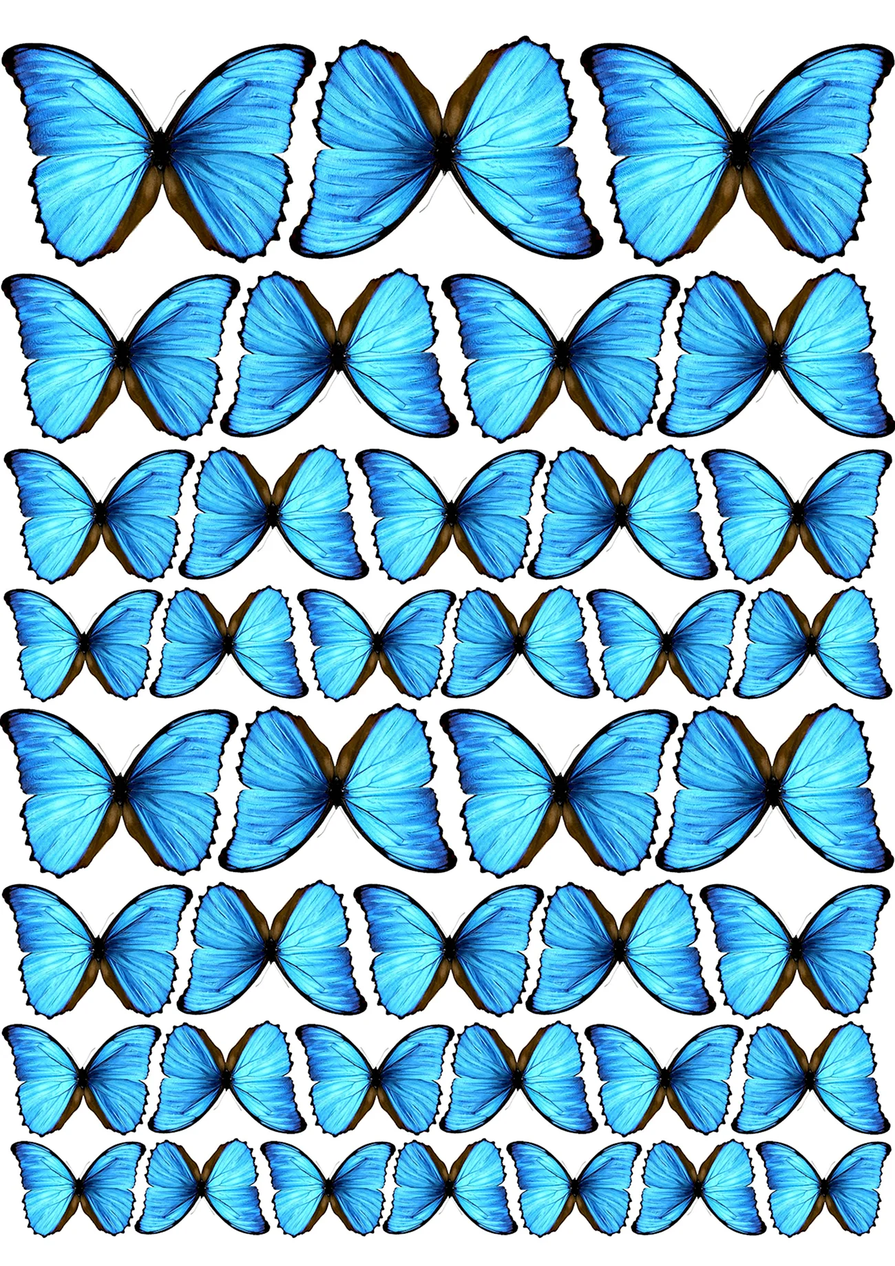 Синие бабочки для печати. Своими руками