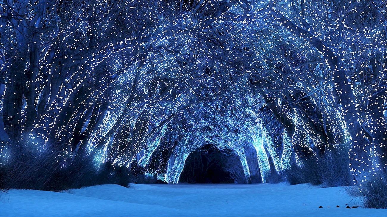 Сказочный зимний лес. Красивая картинка