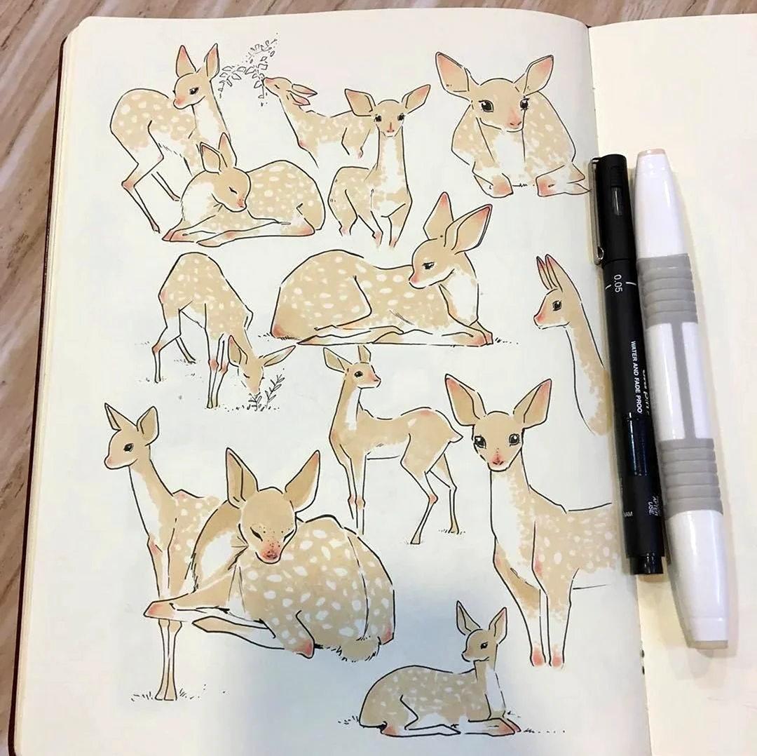 Скетчбук для рисования животных. Для срисовки