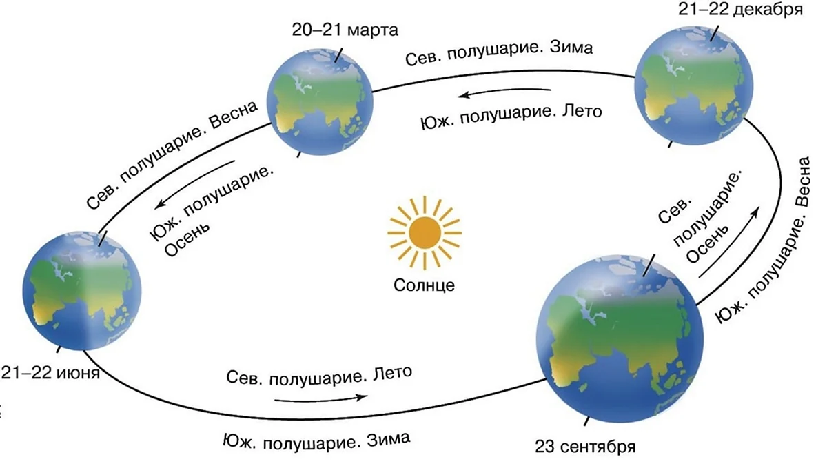 Схема обращение земли вокруг солнца. Картинка