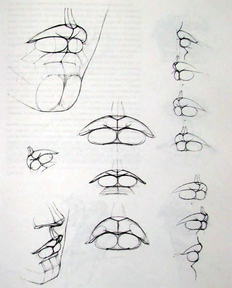 Схема рисования губ. Для срисовки