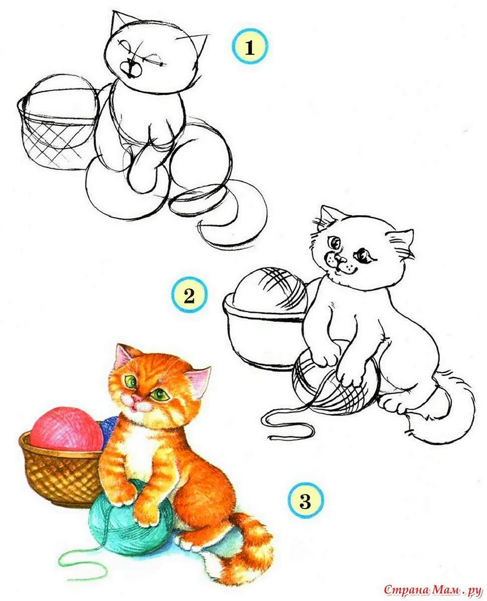 Схема рисования котенка для детей. Для срисовки