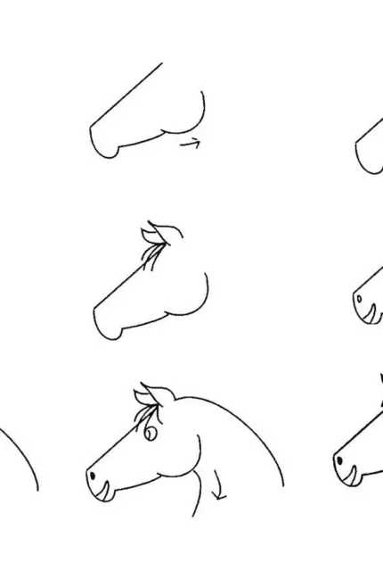 Схема рисования лошади для детей. Для срисовки
