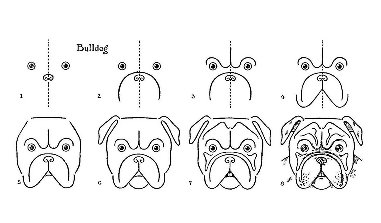 Схема рисования собаки. Для срисовки