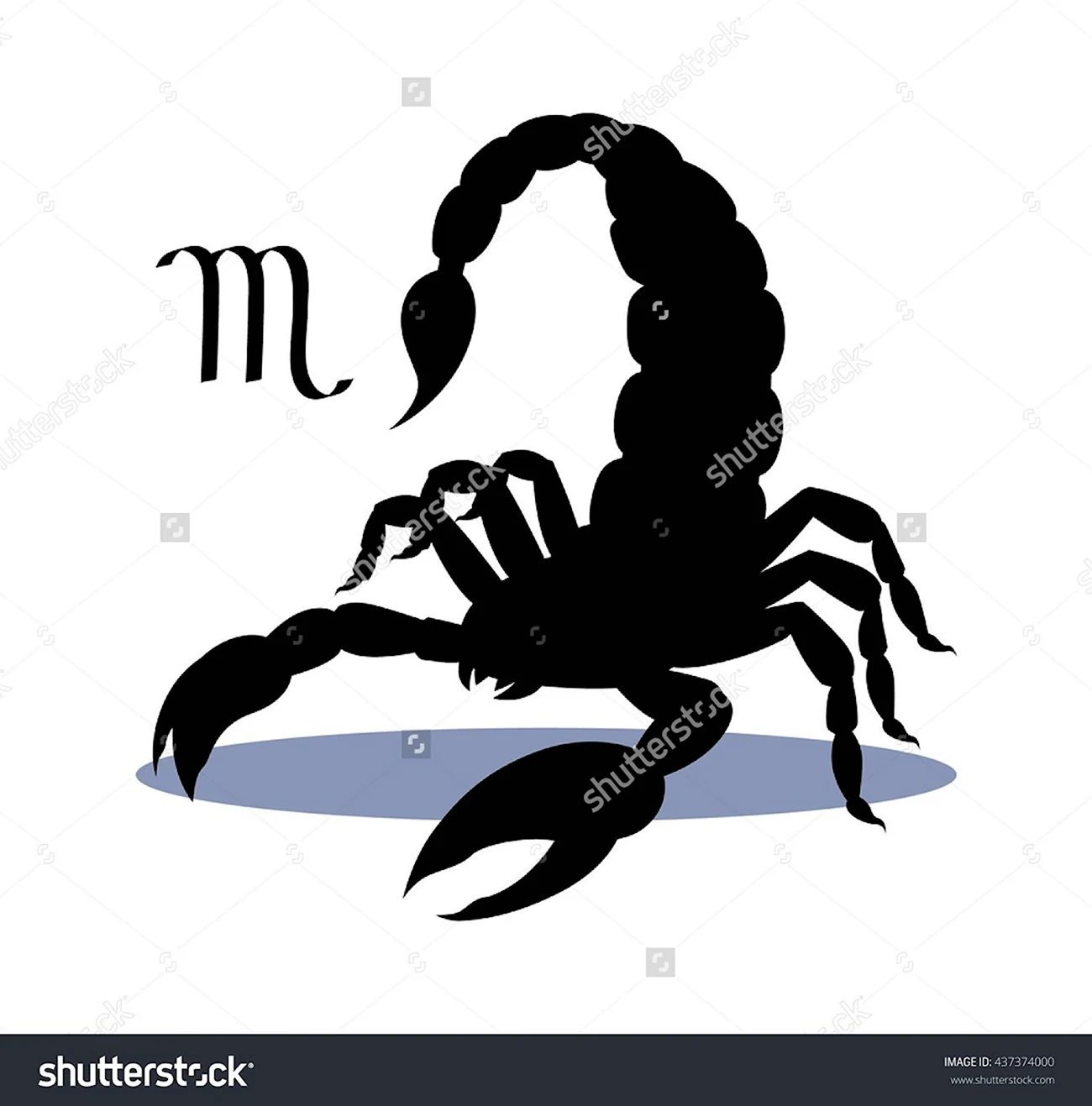 Скорпион силуэт. Красивая картинка