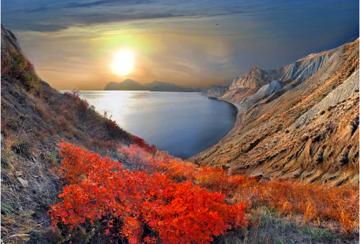 Скумпия в Крыму и море. Картинка