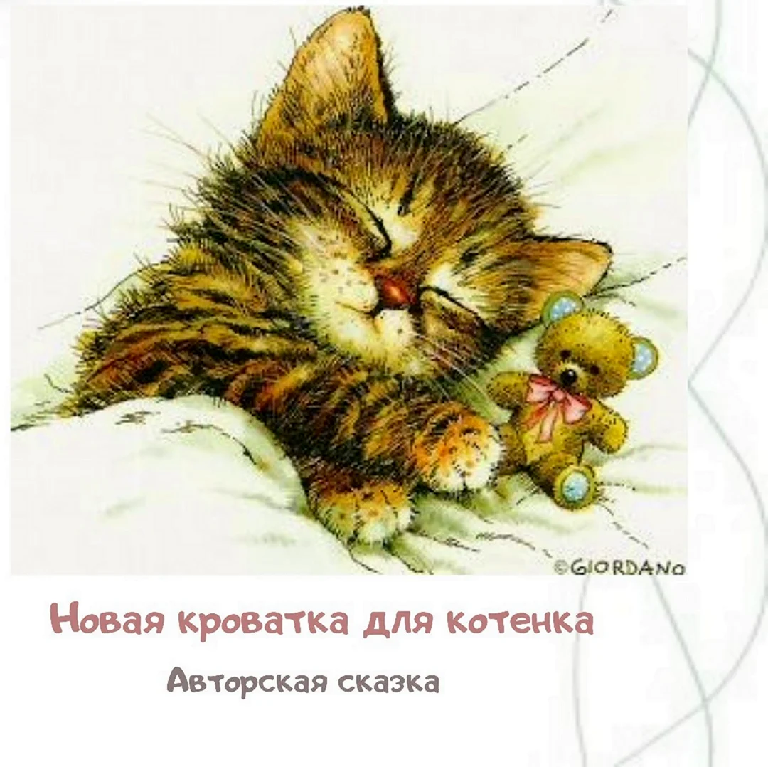 Сладких снов котик. Открытка с пожеланием спокойной ночи