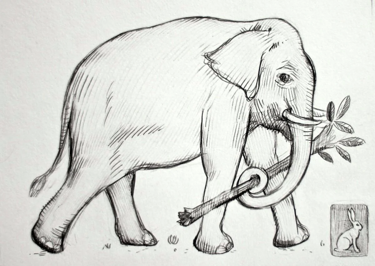 Слон карандашом. Для срисовки