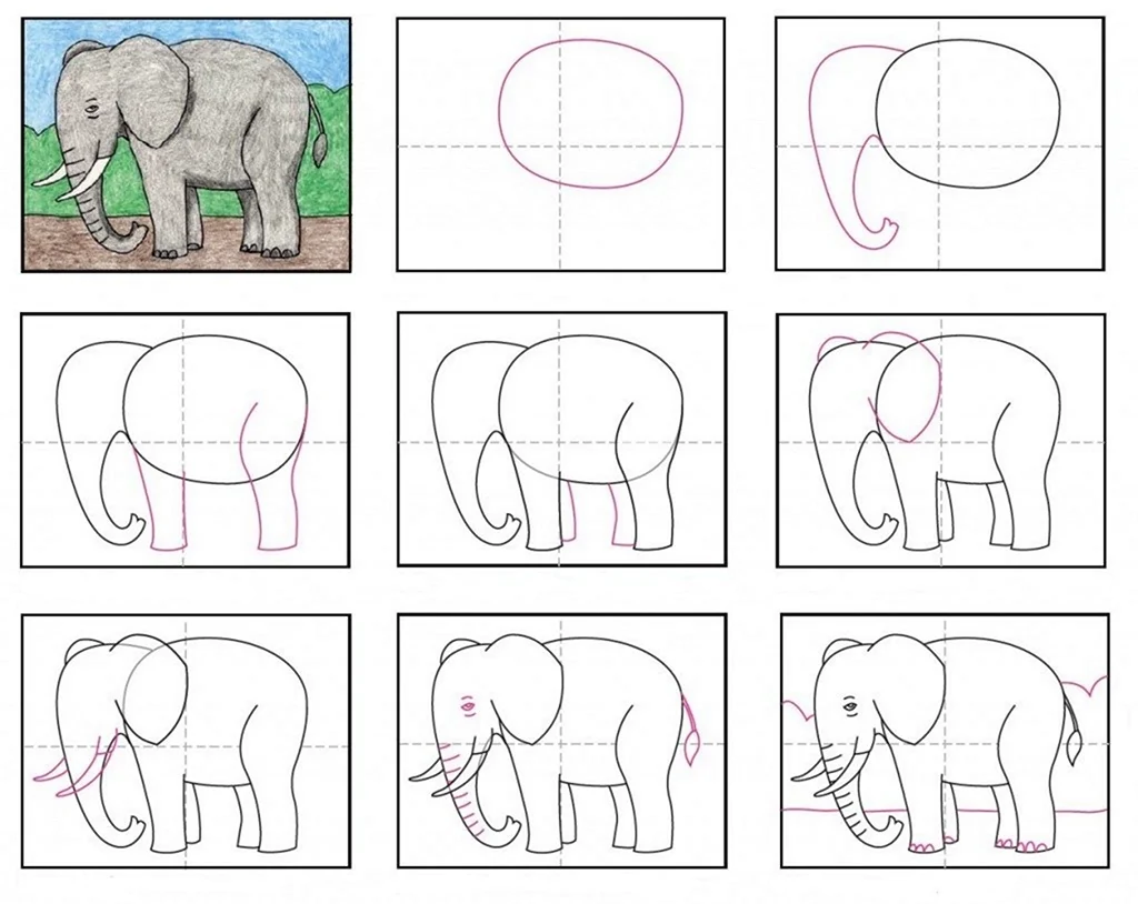 Слон поэтапное рисование для детей. Для срисовки