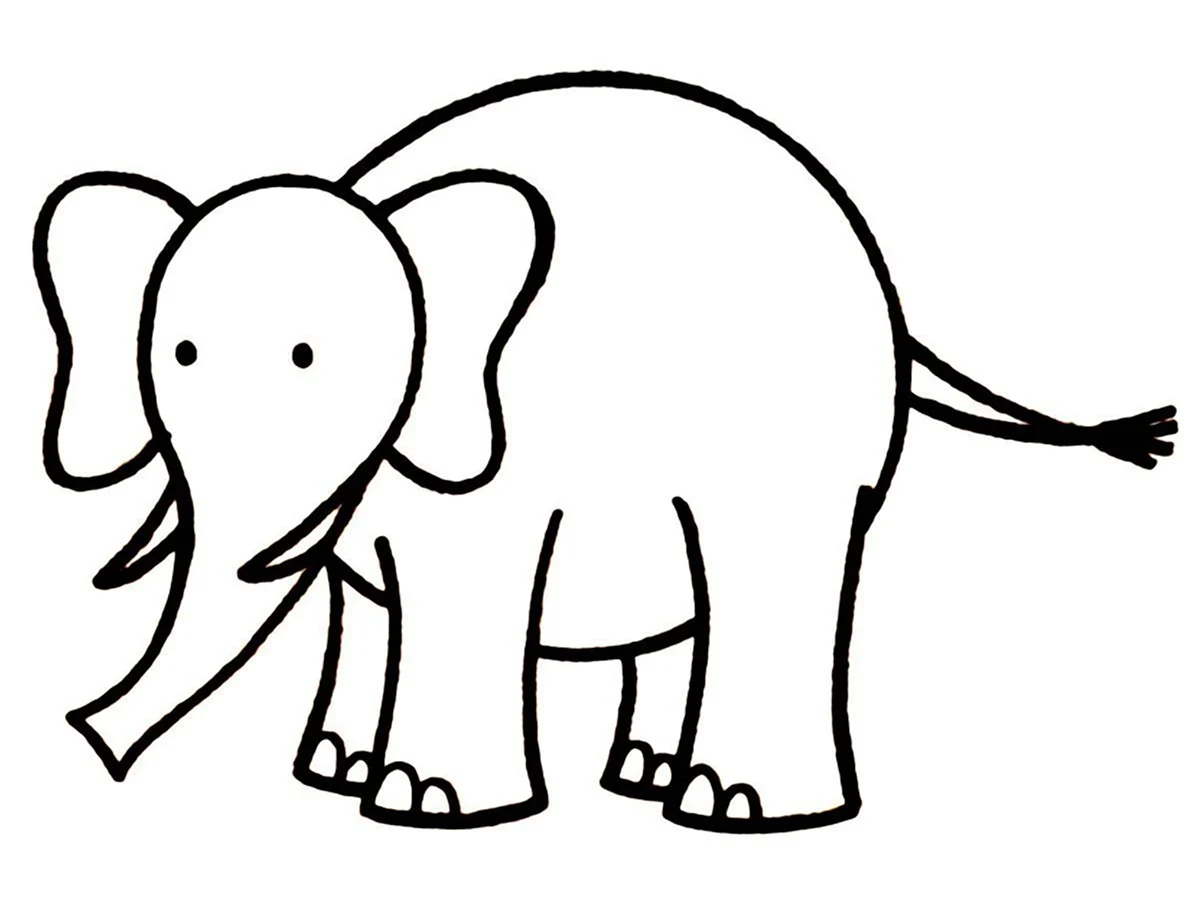 Слон рисунок для детей. Для срисовки