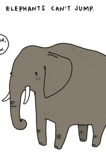 Слоны шутки. Картинка