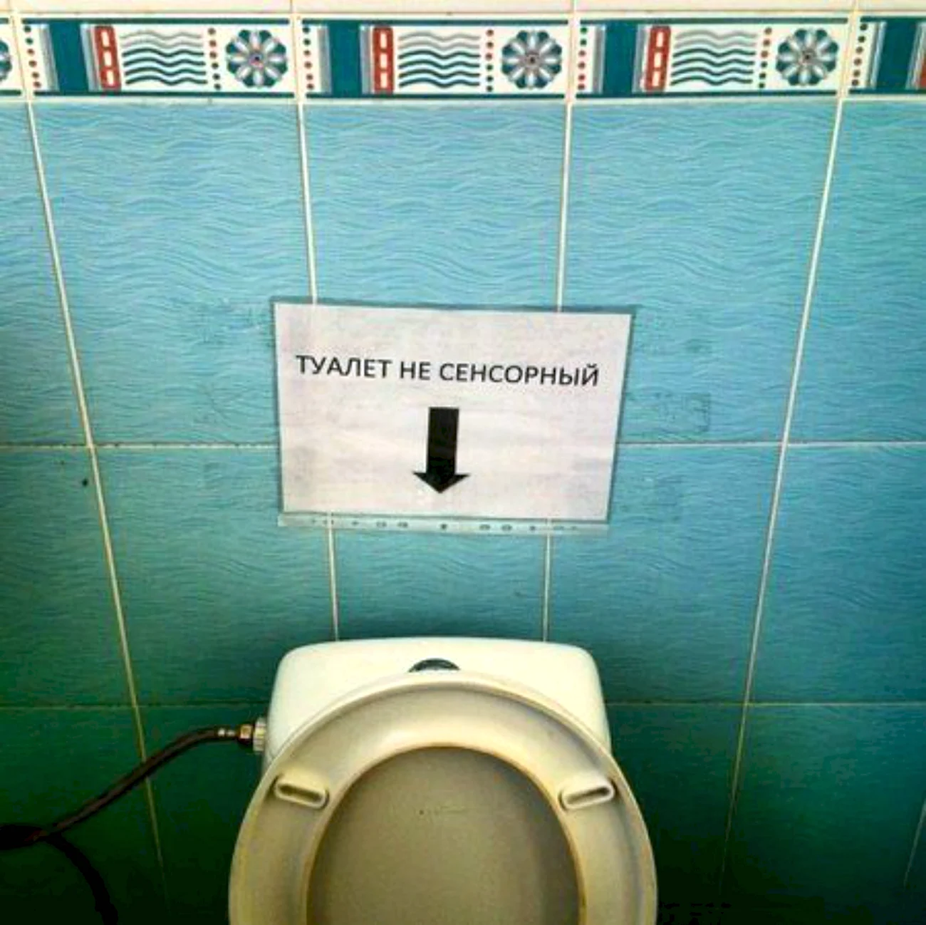 Смешные надписи в туалете. Картинка