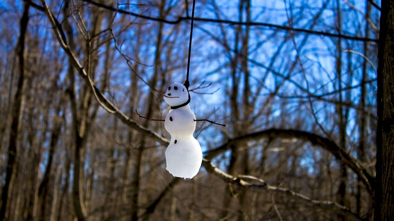 Снеговик повесился. Картинка