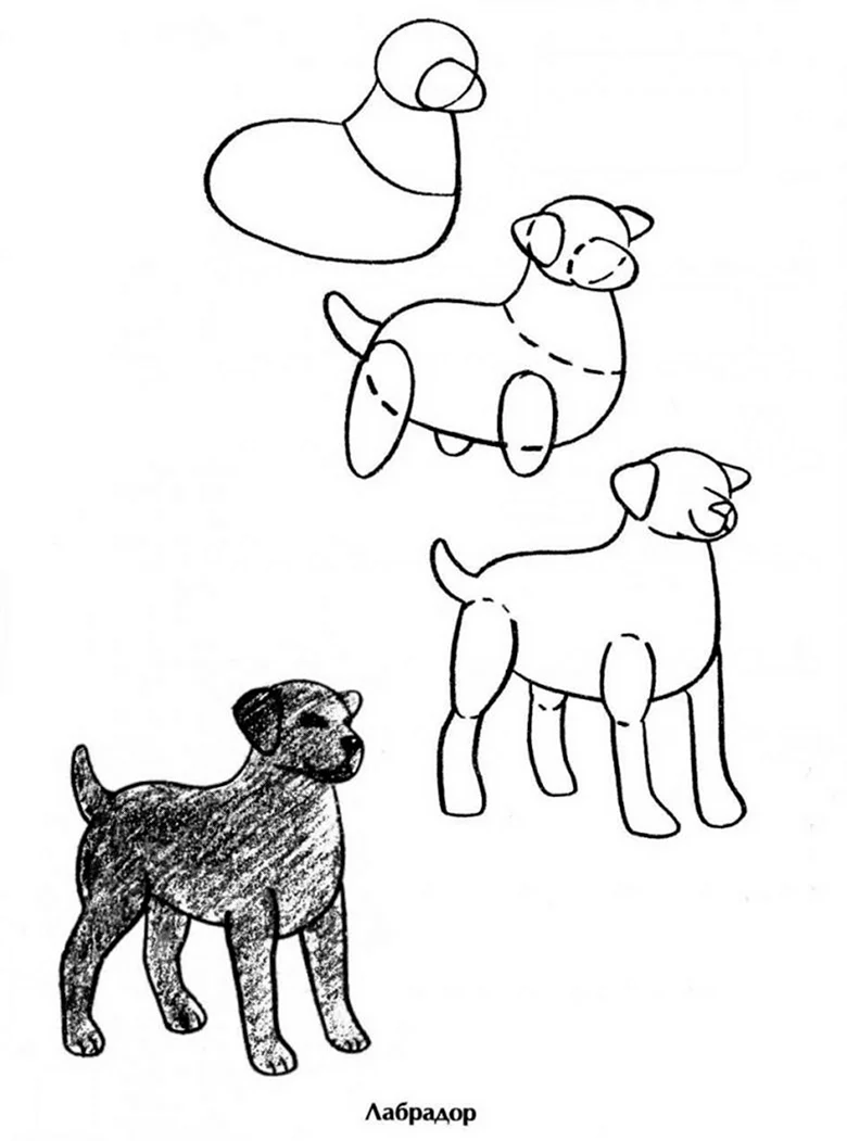 Собачка рисование для детей. Для срисовки