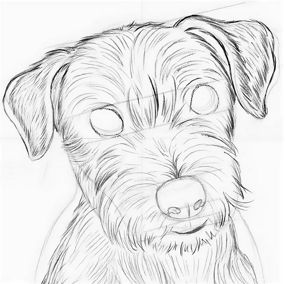 Собачка рисунок карандашом. Красивые картинки животных