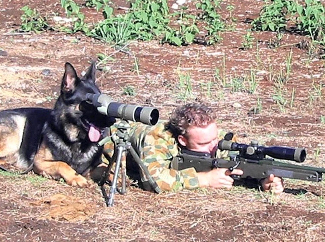 Собака с оружием. Прикольная картинка