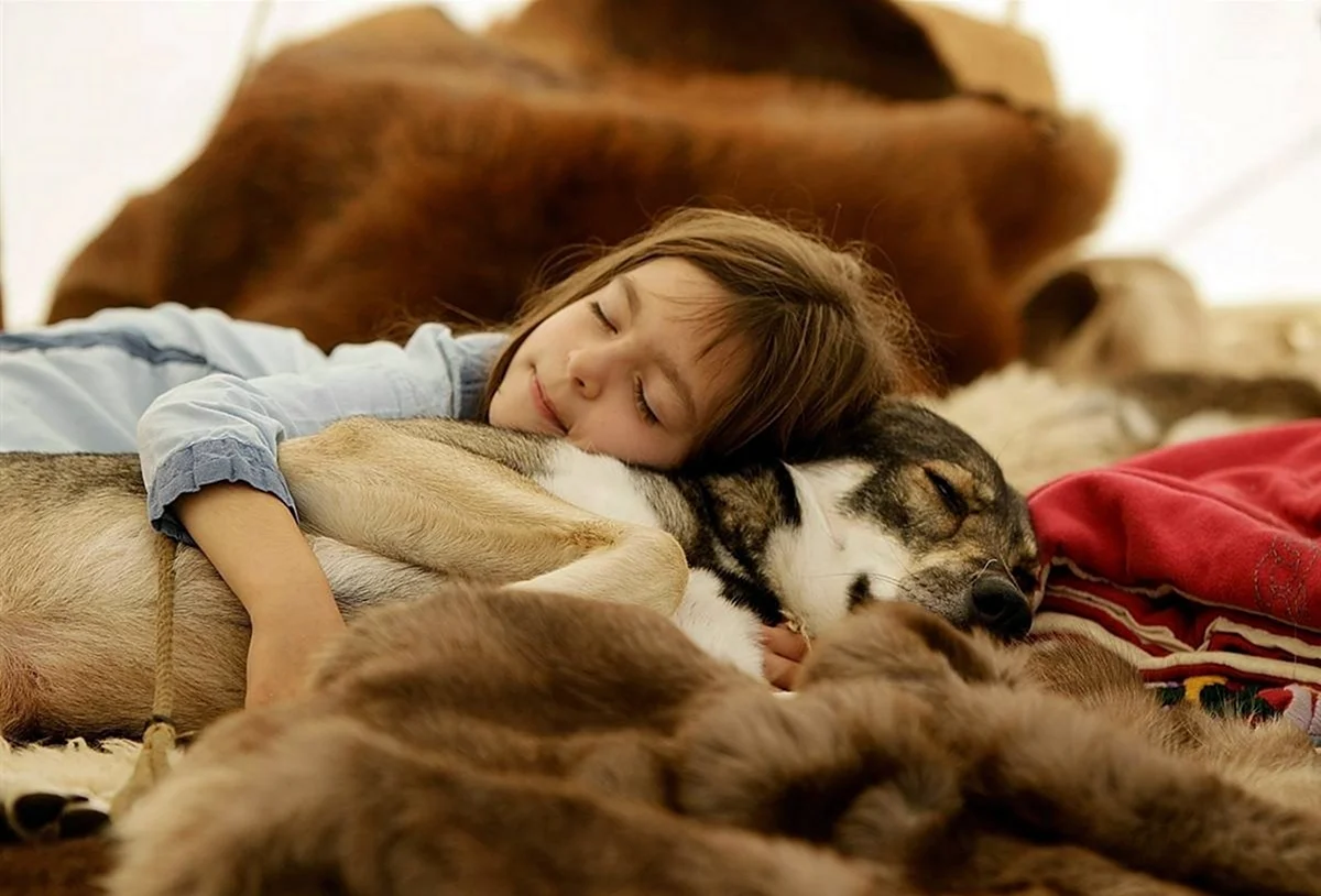 Собака спит с человеком. Красивое животное