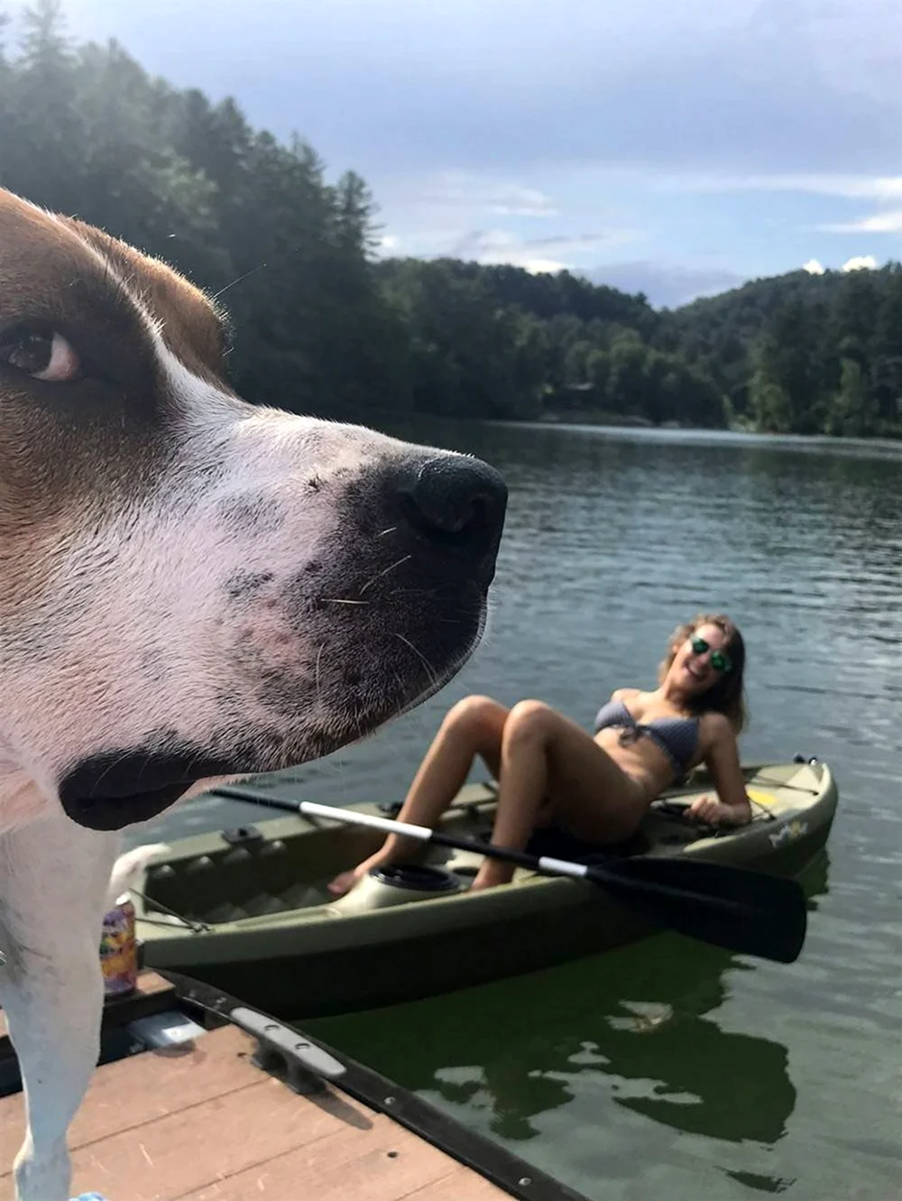 Собака в лодке. Прикольная картинка