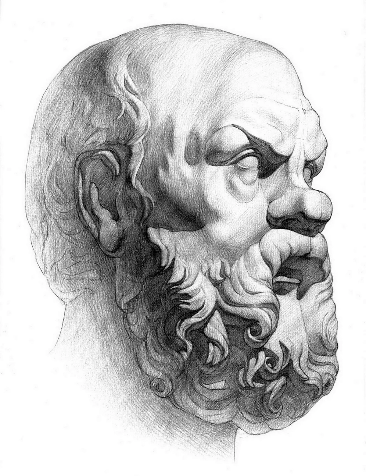 Сократ Академический рисунок. Для срисовки