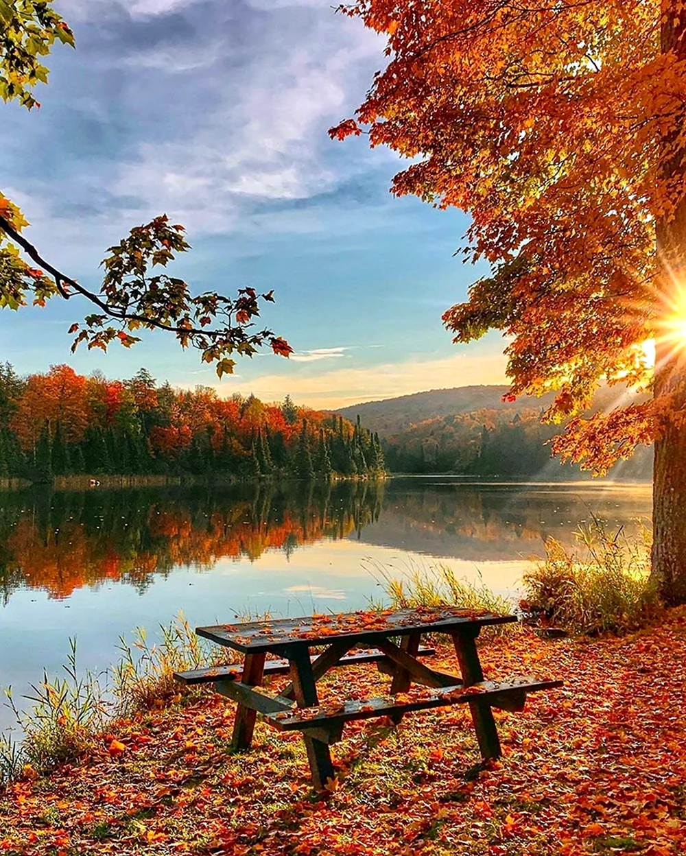 Солнечная осень. Красивая картинка