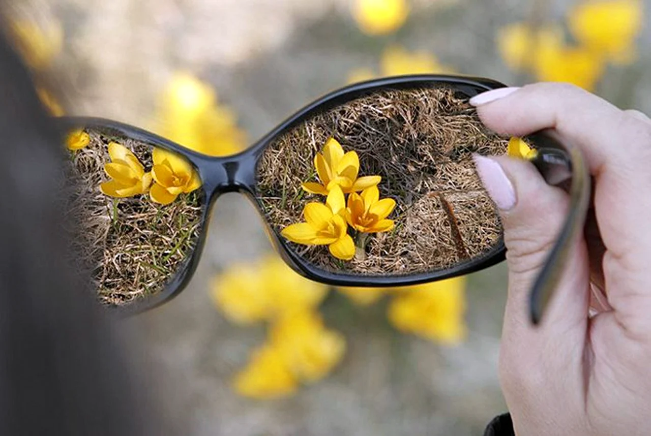 Солнечные очки с цветком. Поздравление
