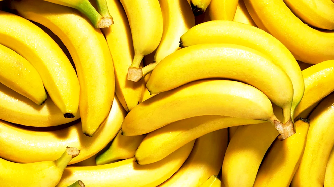 Сорт бананов Грос-Мишель. Красивая картинка