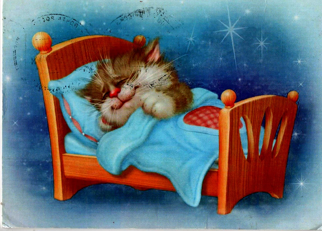 Спи котенок доброй ночи. Открытка с пожеланием спокойной ночи