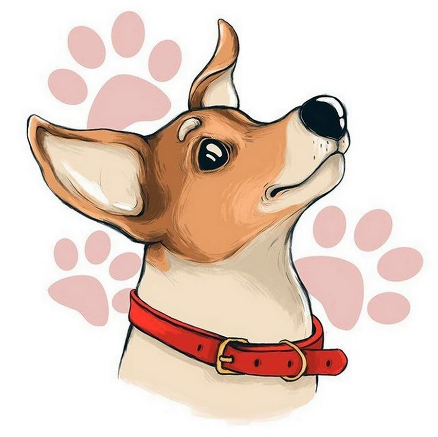 Срисовка пса Джек Рассел. Красивые картинки животных