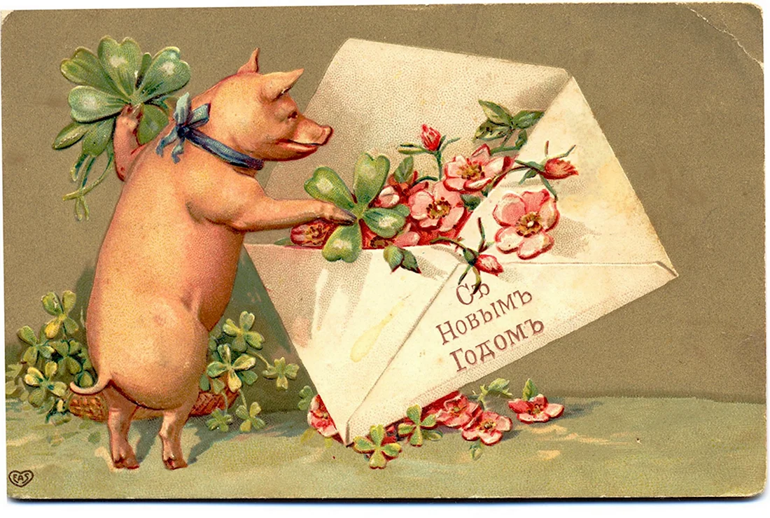 Старинные открытки со свиньями. Открытка на праздник