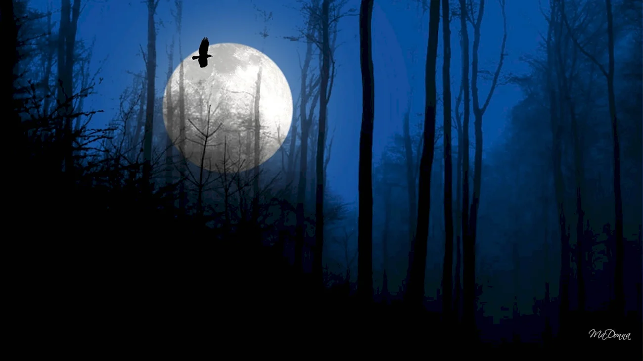 Страшный лес с луной. Красивая картинка