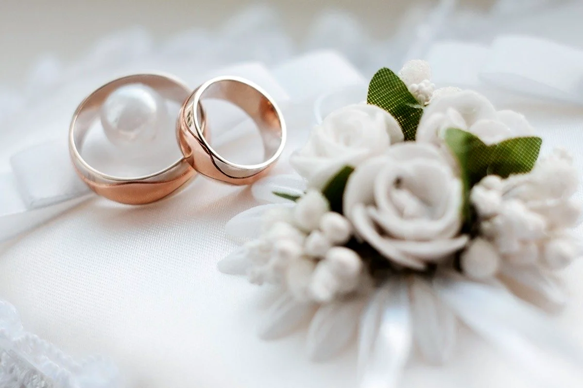 Свадебные кольца. Красивая картинка