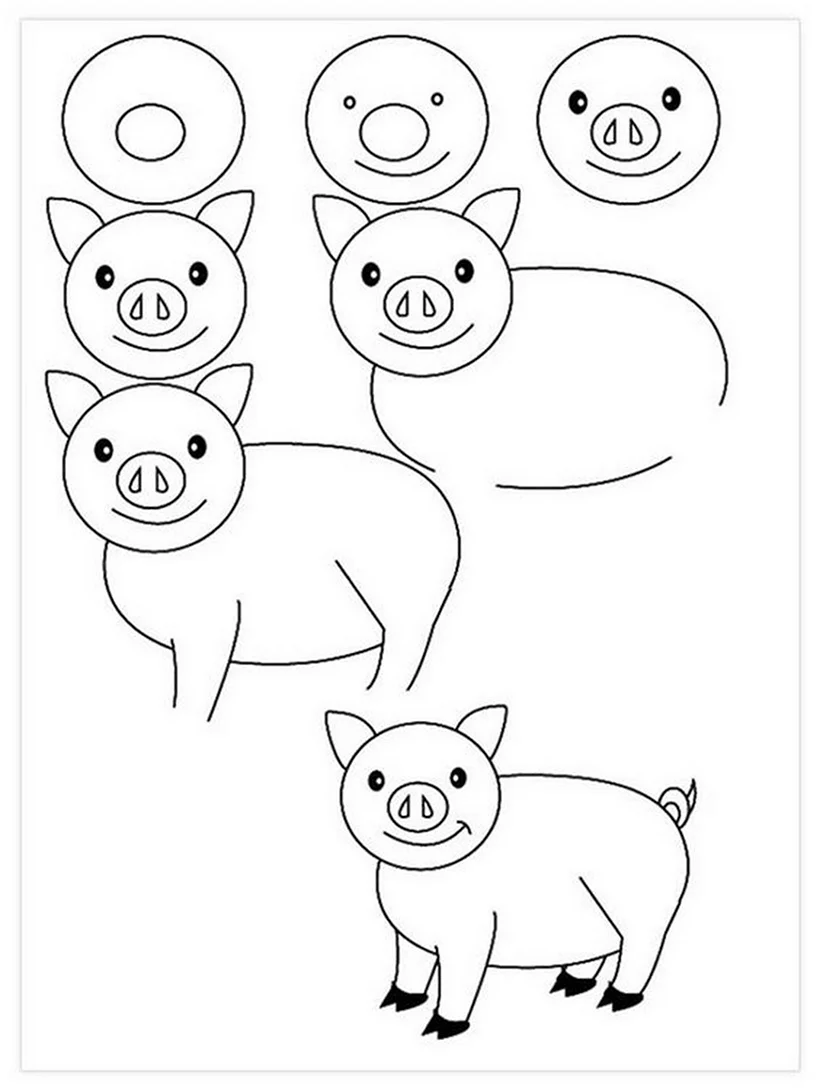 Свинья рисунок для детей карандашом. Для срисовки