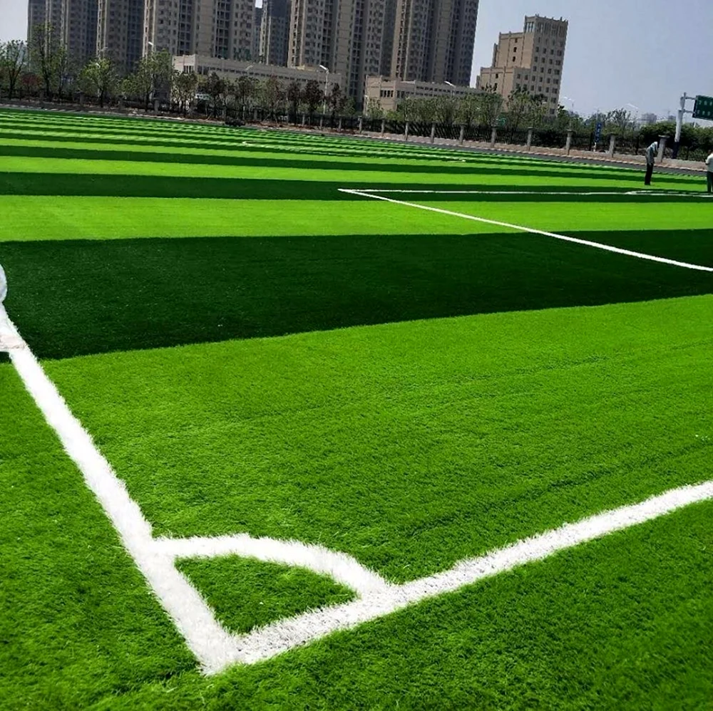 Таганский парк футбольное поле. Картинка