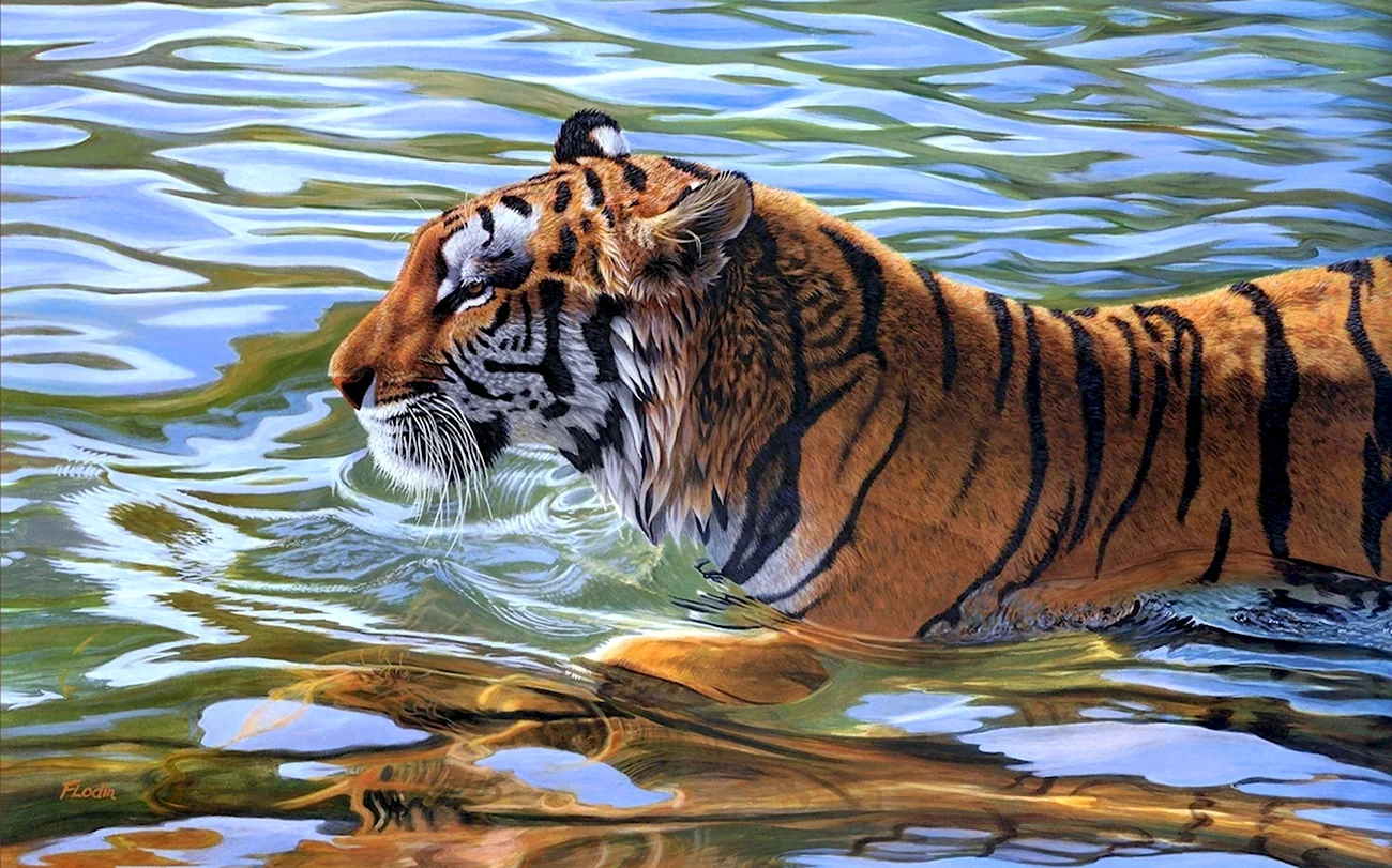 Тайгер тигр. Красивая картинка