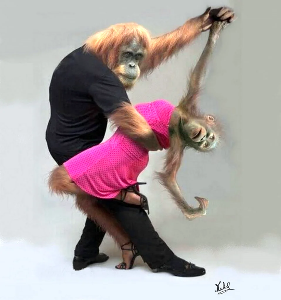 Танцующая обезьянка. Прикольная картинка