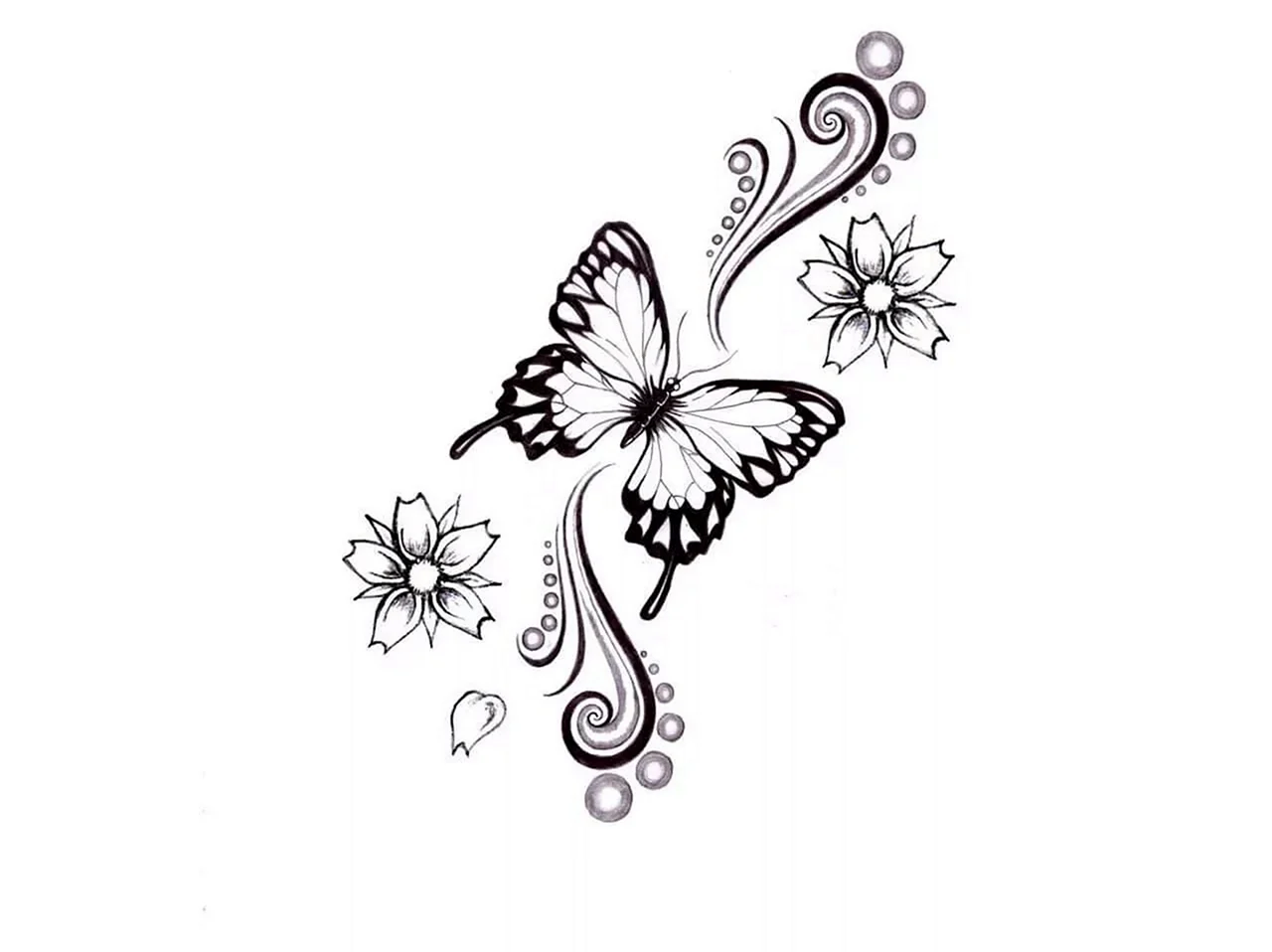 Татуировка бабочка эскиз. Для срисовки