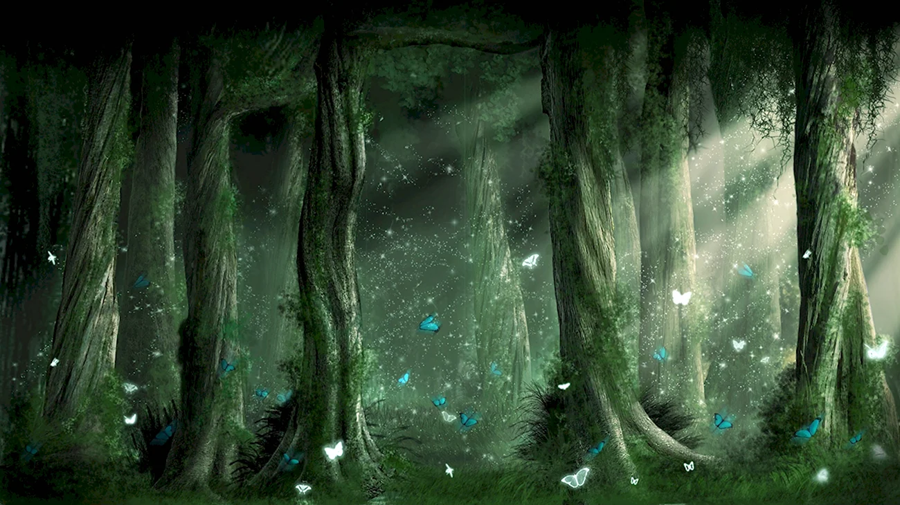 Темный лес. Картинка