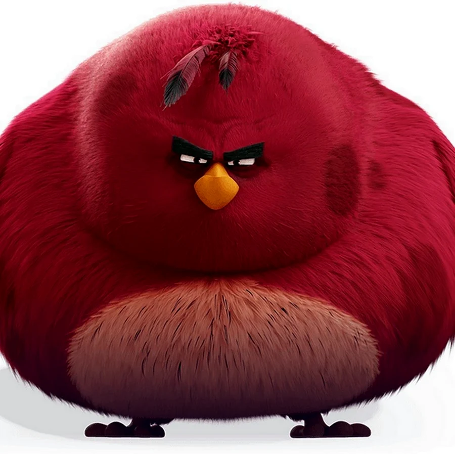Теренс из Angry Birds. Картинка из мультфильма