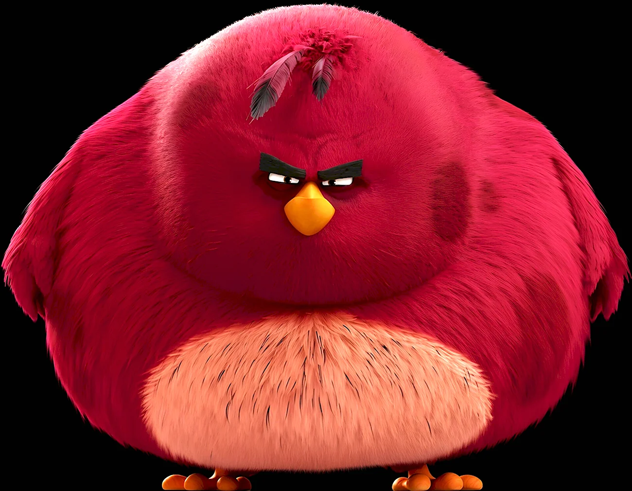 Теренс из Angry Birds. Картинка из мультфильма