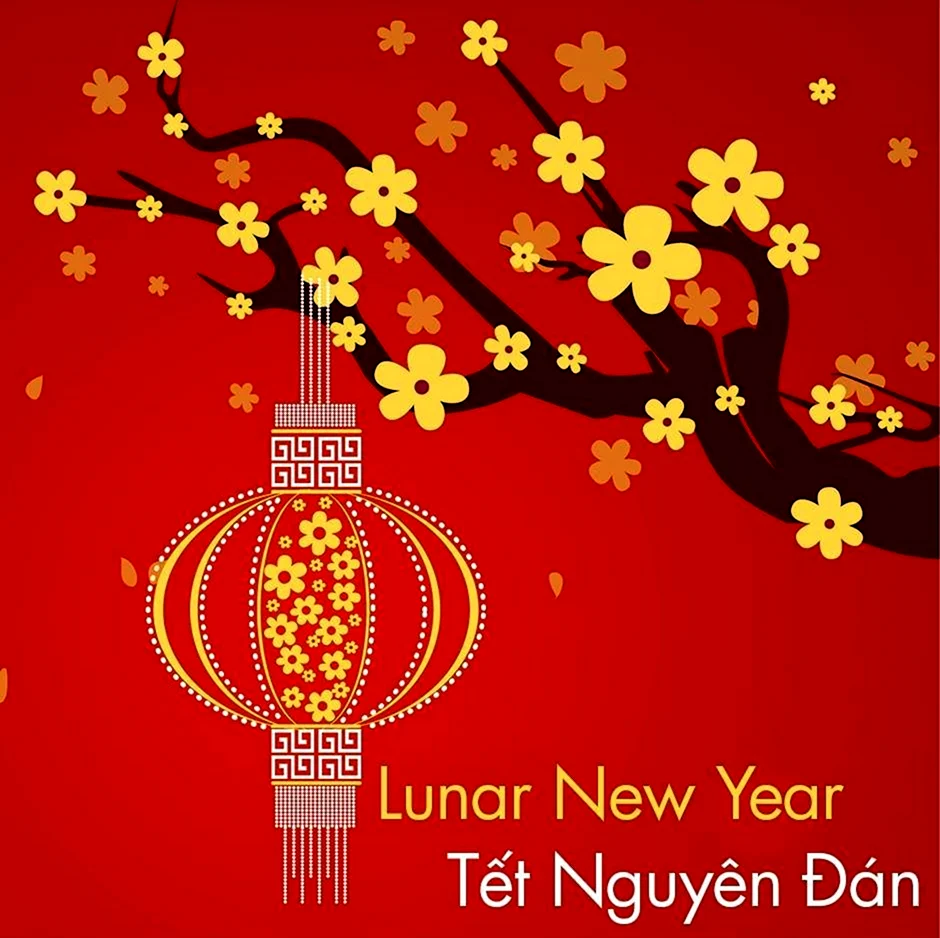 Тет вьетнамский новый год. Поздравление