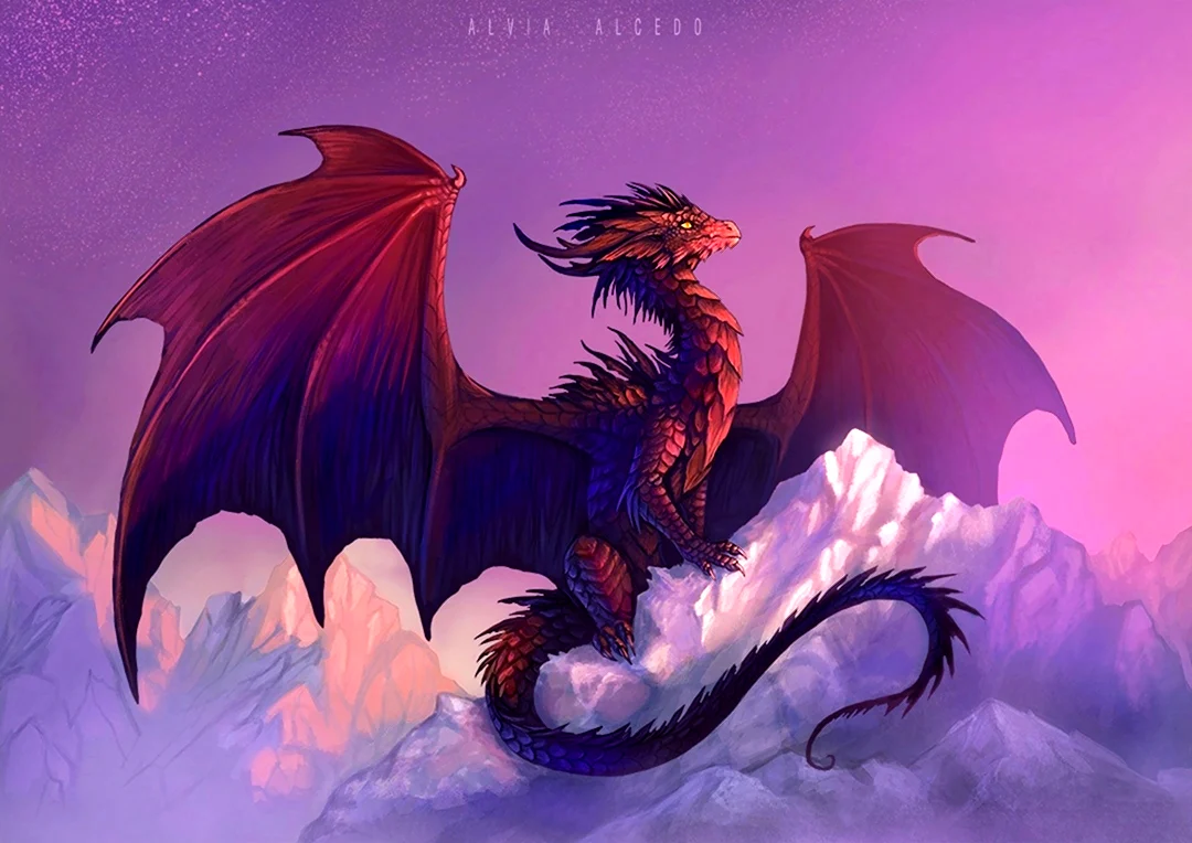 Тяньлун Небесный дракон. Красивые картинки животных